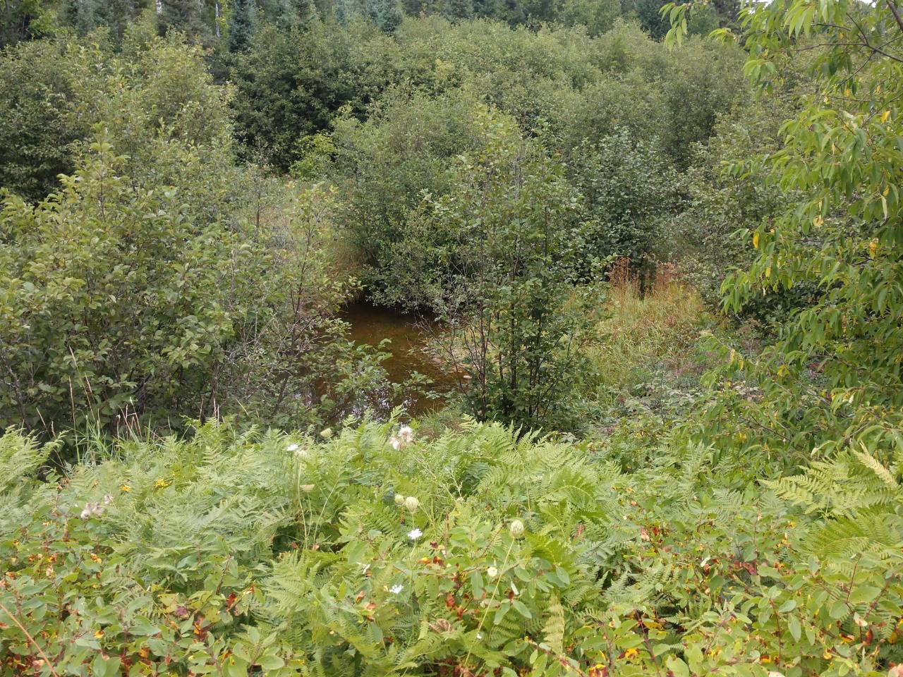 Tbd Tbd Amber Lake Road Bruce Crossing, MI 49912 - Photo 3 of 21 Gallery Image 3