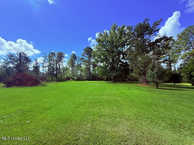 97 Jack Duncan Road Tylertown, MS 39667 - Photo 14 of 33 IMG_0409