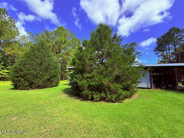 97 Jack Duncan Road Tylertown, MS 39667 - Photo 15 of 33 IMG_0410