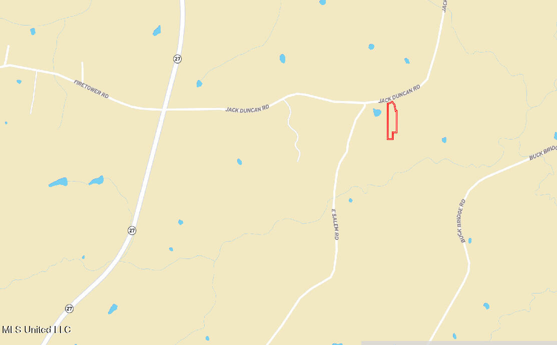 97 Jack Duncan Road Tylertown, MS 39667 - Photo 33 of 33 IMG_0493