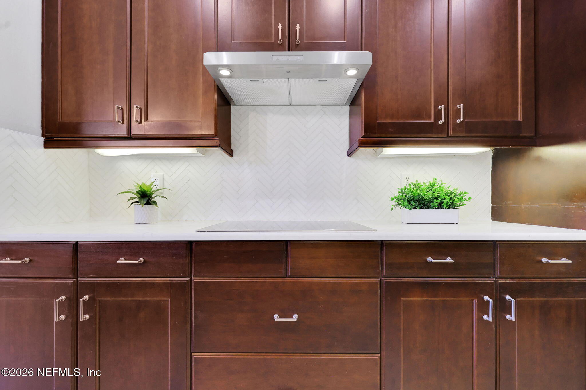 1013 Inverness Drive St. Augustine, FL 32092 - Photo 14 of 65 New Induction Stovetop and Hood