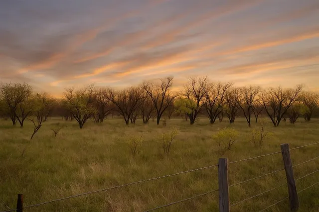 a view of a field with trees in the background