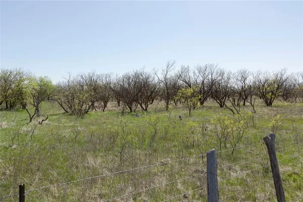 a view of a green field
