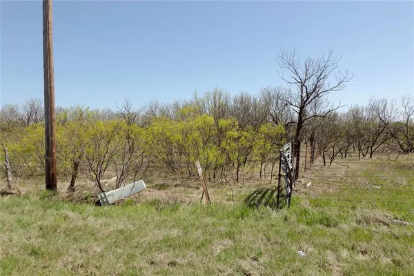 a view of a yard with a tree