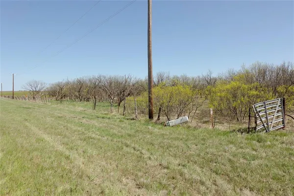 a view of a field with trees in the background