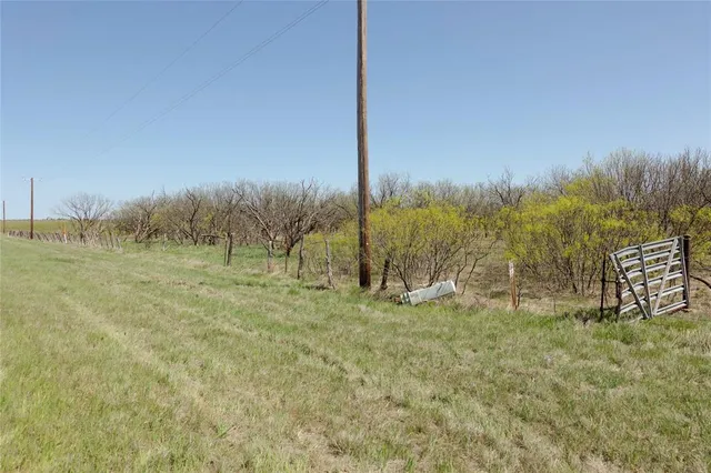 a view of a field with trees in the background