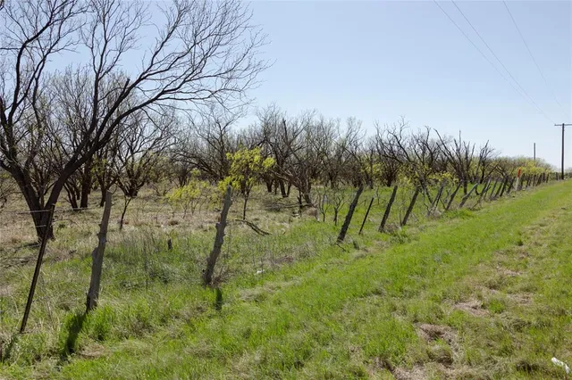 a view of an outdoor space and a yard