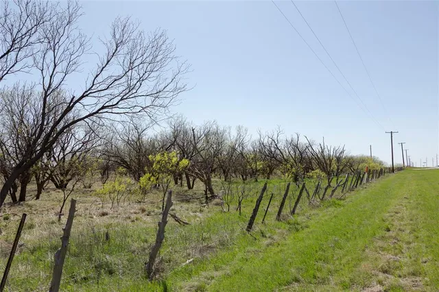 a view of yard with green space