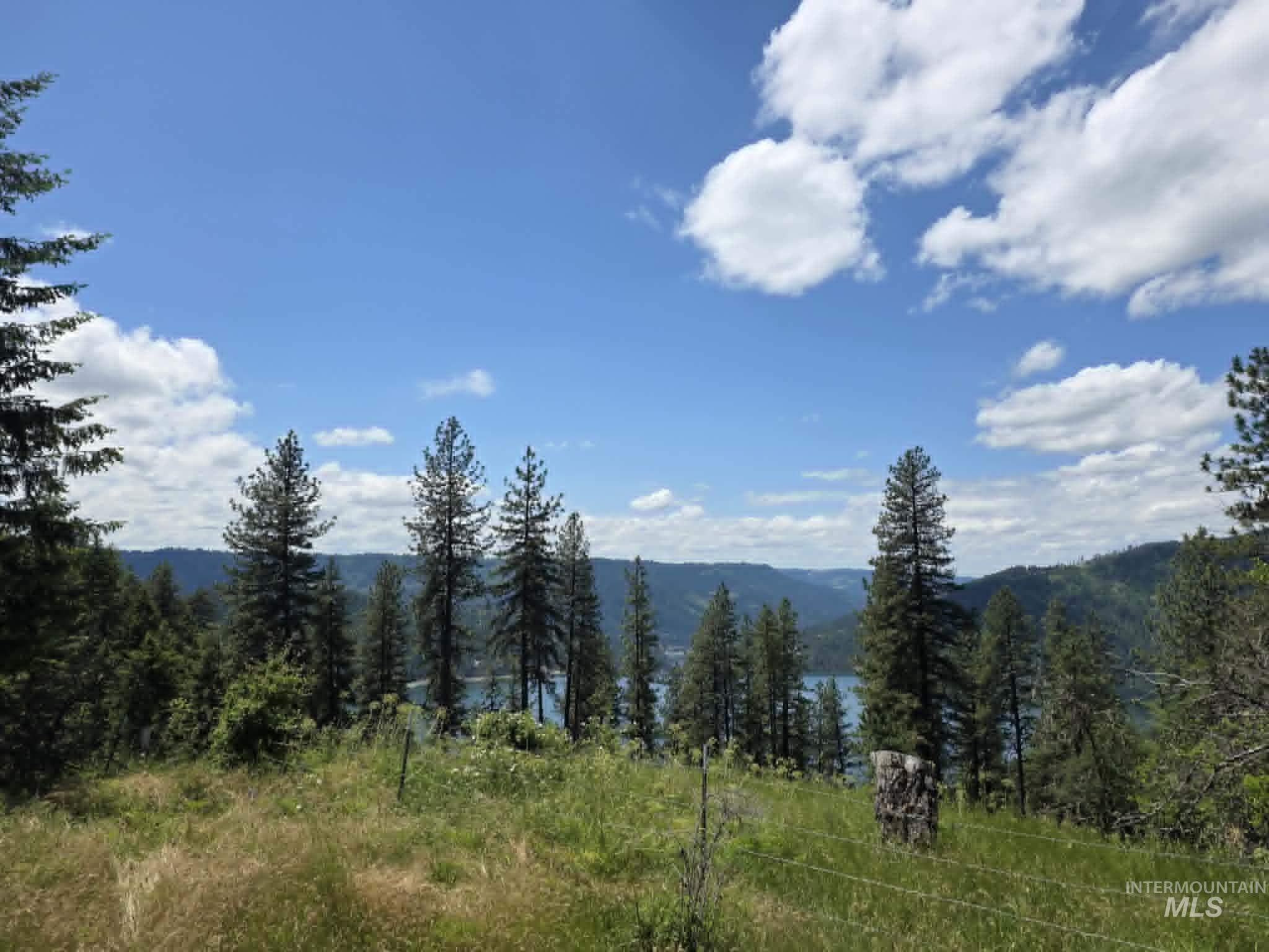3871 Lakeview Road Orofino, ID 83544 - Photo 44 of 49