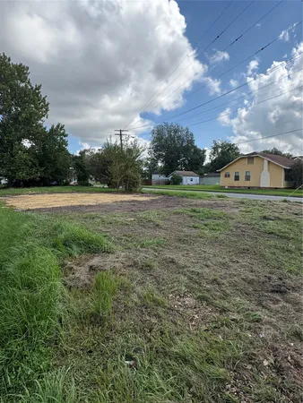a view of large trees with a big yard