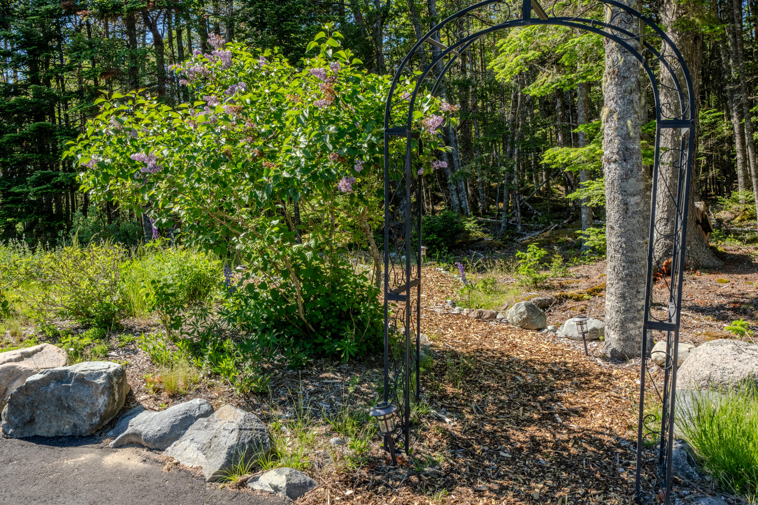 557 Yoho Head Road Machiasport, ME 04655 - Photo 110 of 136 0430