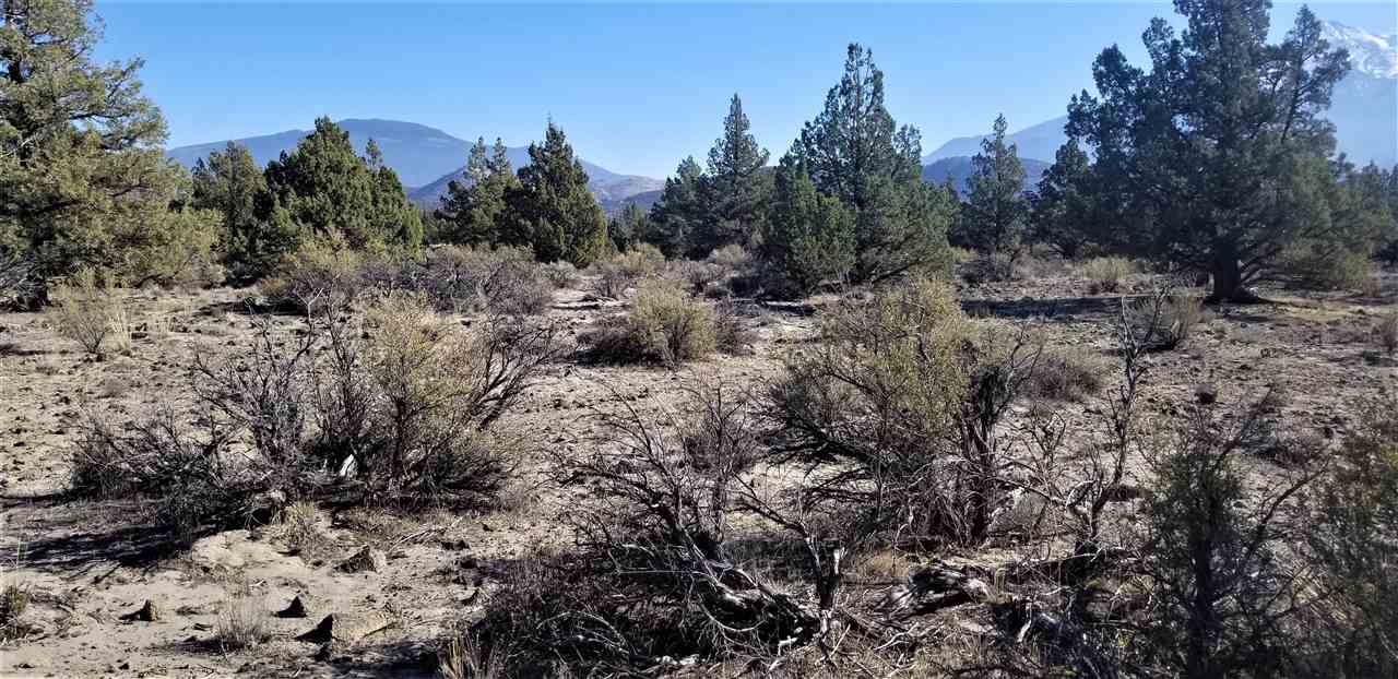 Lot 4 Lost Mine Road Montague, CA 96064 - Photo 4 of 8 Gallery Image 4