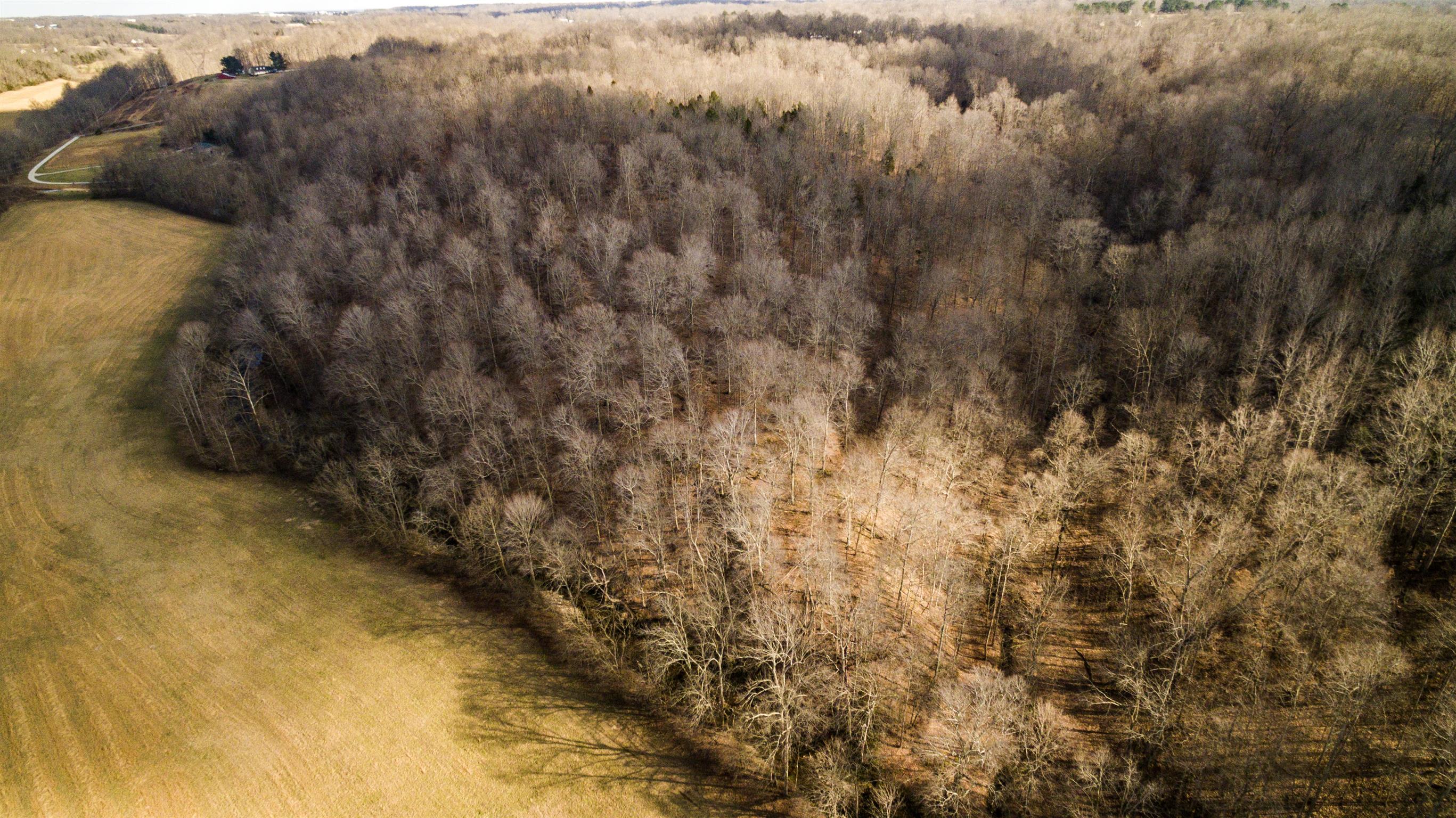 0 Clifton Road Dickson, TN 37055 - Photo 15 of 25