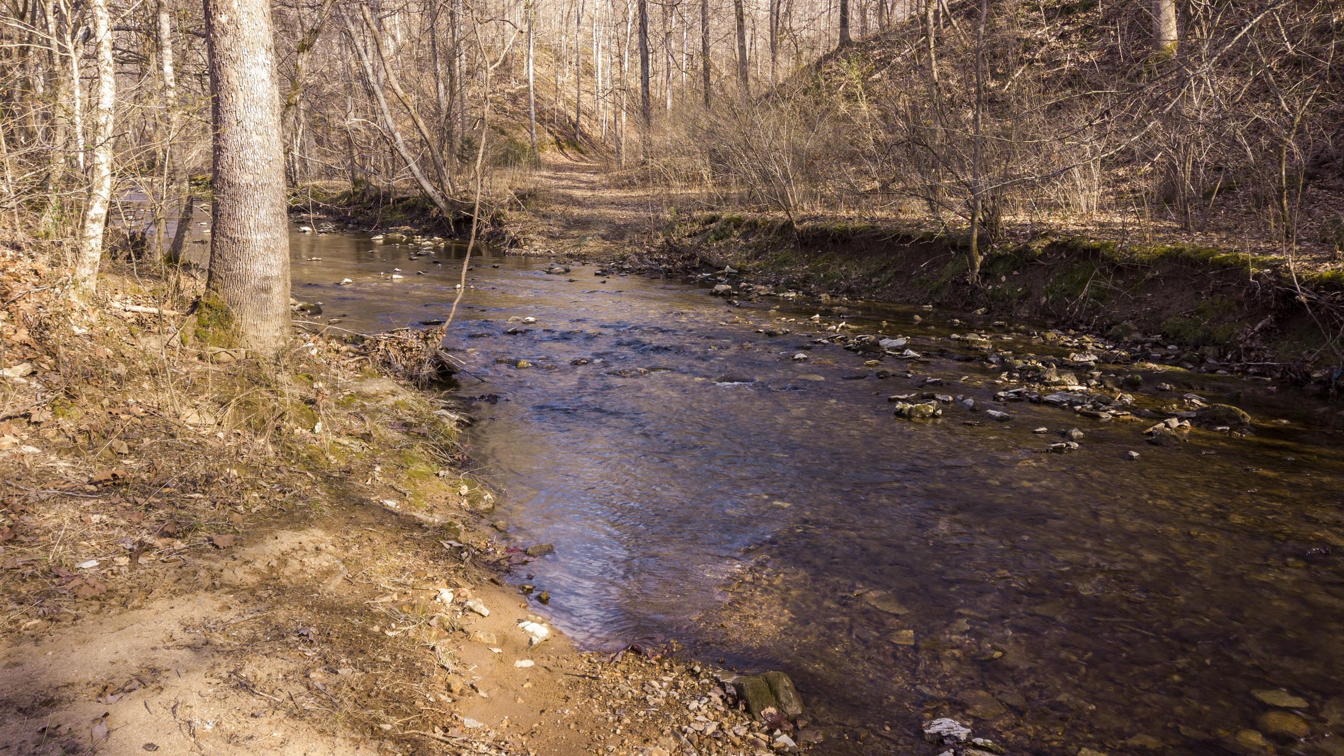 0 Clifton Road Dickson, TN 37055 - Photo 23 of 25 a view of a forest with trees