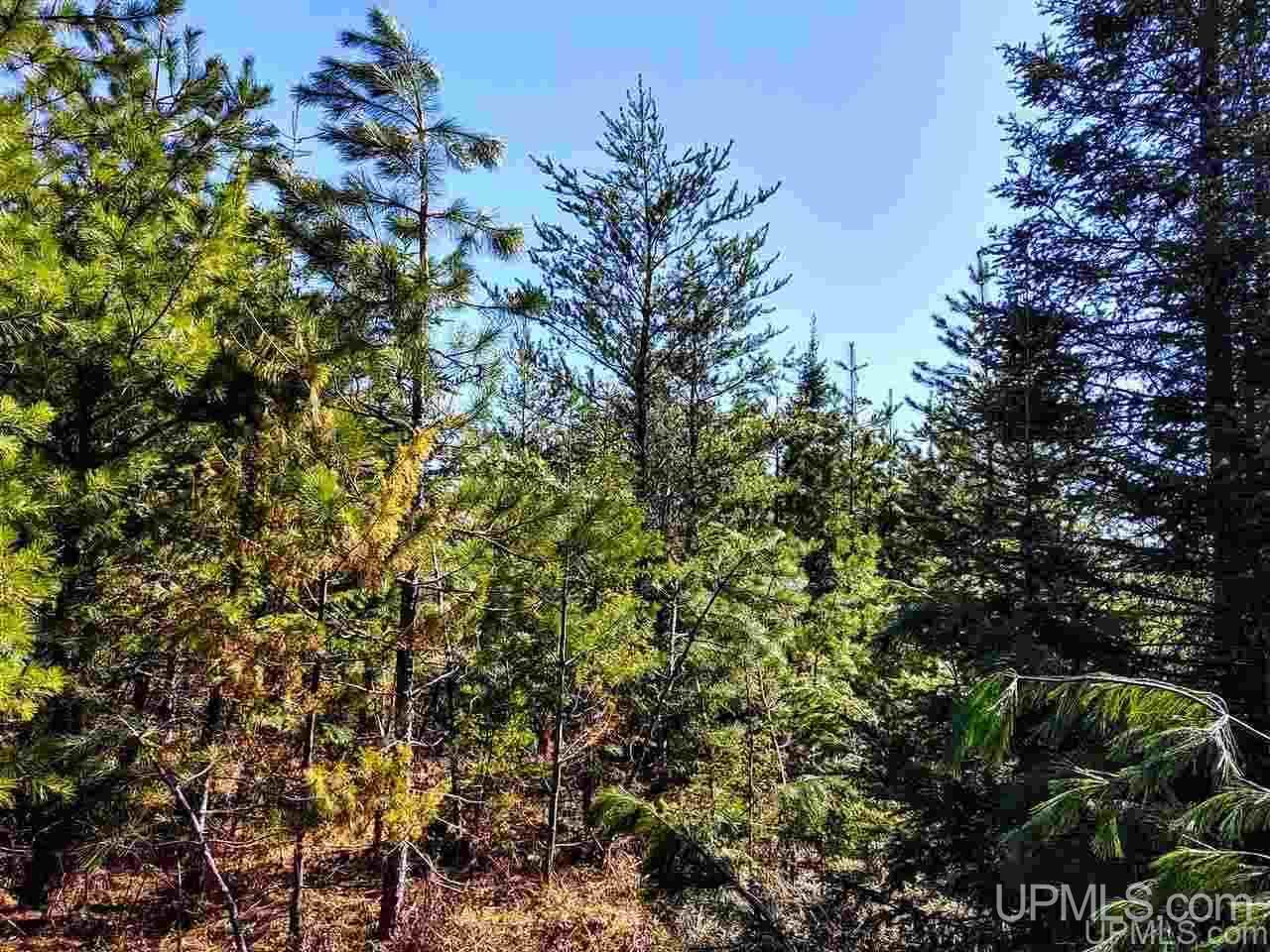 Tbd Forest Hwy 16 Road Iron River, MI 49935 - Photo 27 of 49