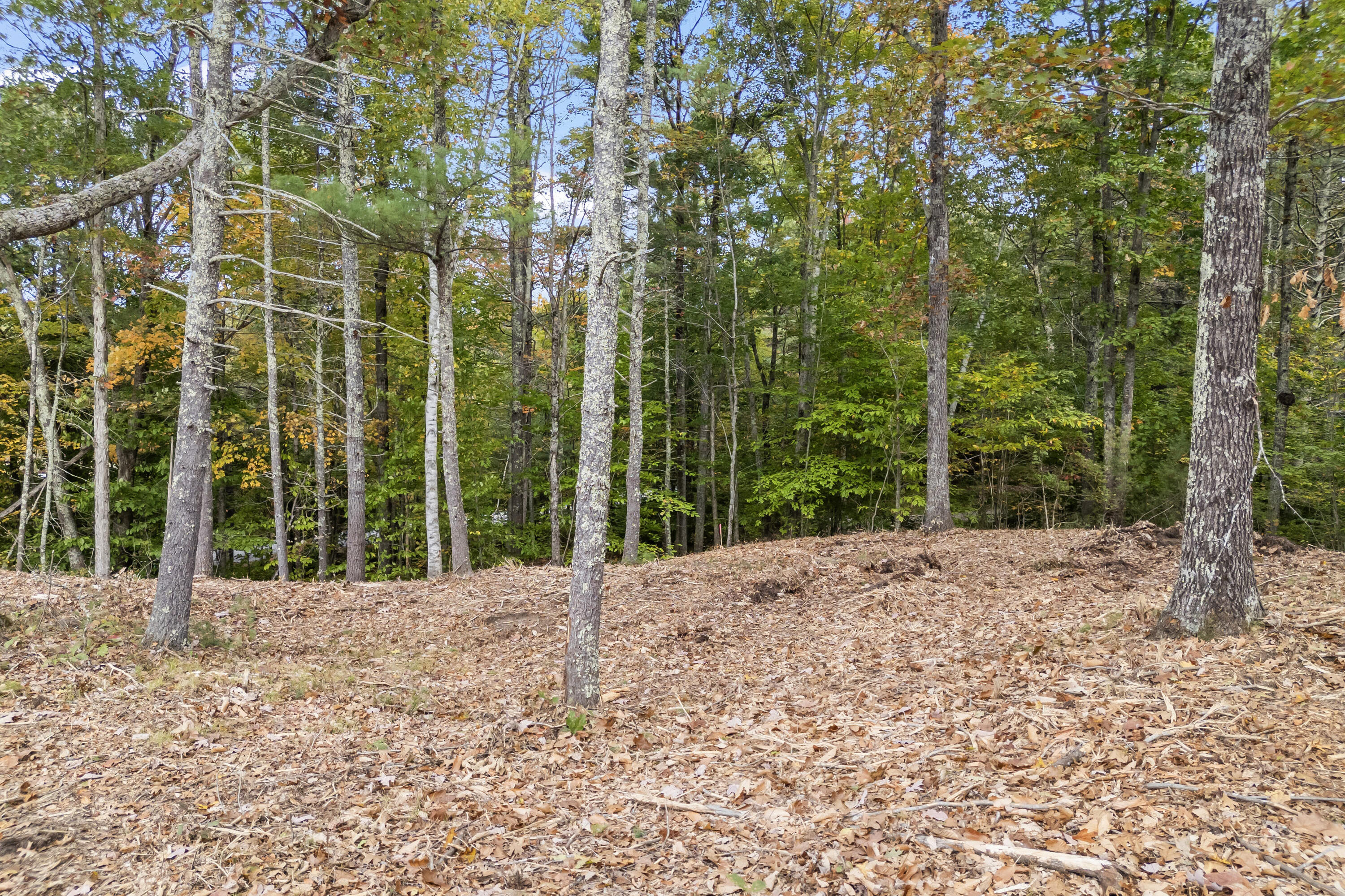 Tbd Tbd Ridge Terrace, Unit LOT 2 North Berwick, ME 03906 - Photo 8 of 14 TBD Ridge Terrace, Lot 2, North Berwick