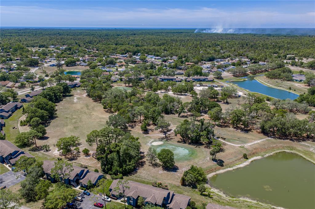 7435 Kilbride Court Weeki Wachee, FL 34613 - Photo 67 of 67 an aerial view of residential houses with outdoor space and trees