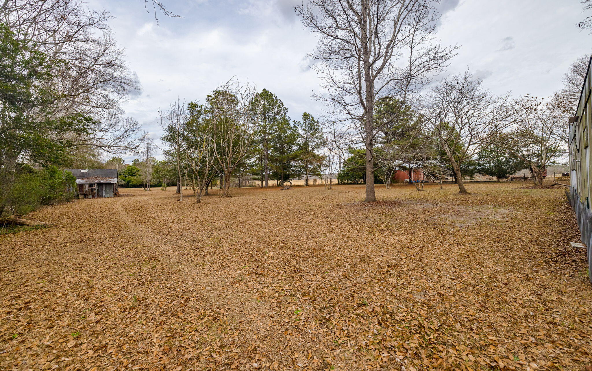 4865 Deans Bridge Road Blythe, GA 30805 - Photo 70 of 72 4865DeansBridge-74