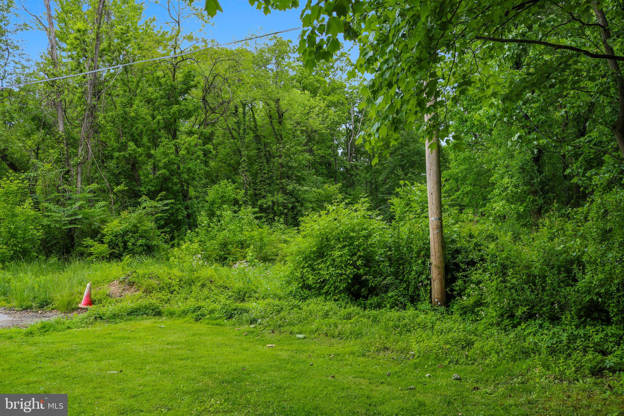 Evan Avenue Aberdeen, MD 21001 - Photo 47 of 74 a view of a lush green space