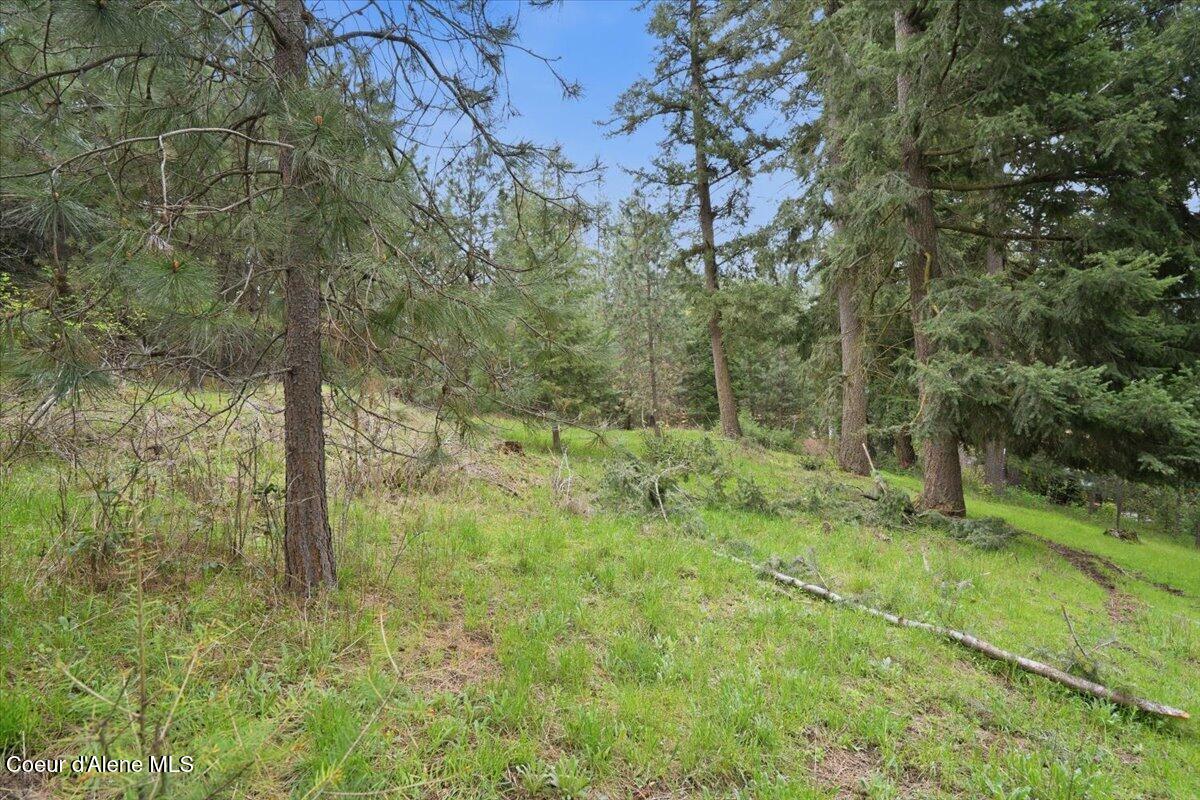 Nna North Chalet Road Hayden, ID 83835 - Photo 3 of 26 08-Chalet Rd