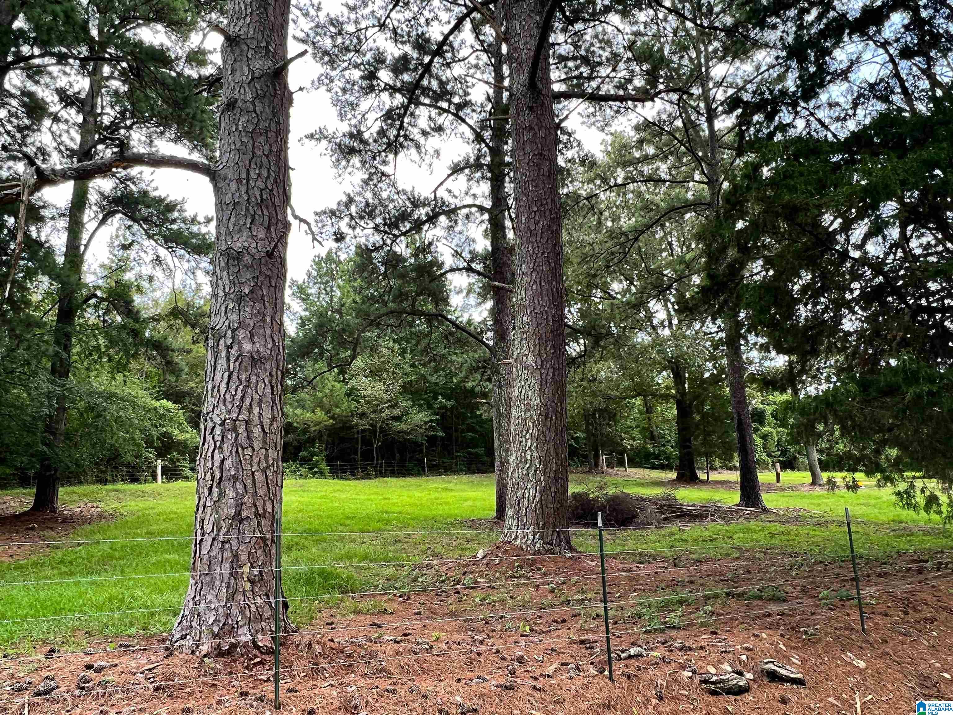 7030 Howells Cove Road Talladega, AL 35160 - Photo 36 of 48