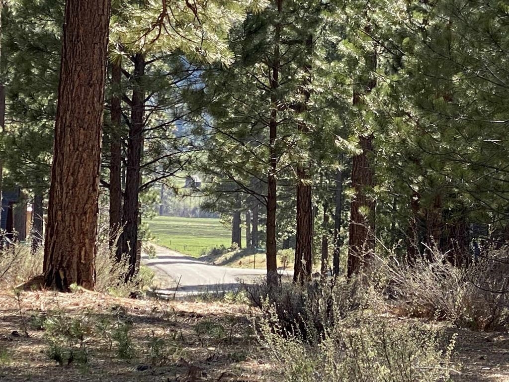 762 Redtail Loop Road Clio, CA 96106 - Photo 2 of 13 a view of a yard