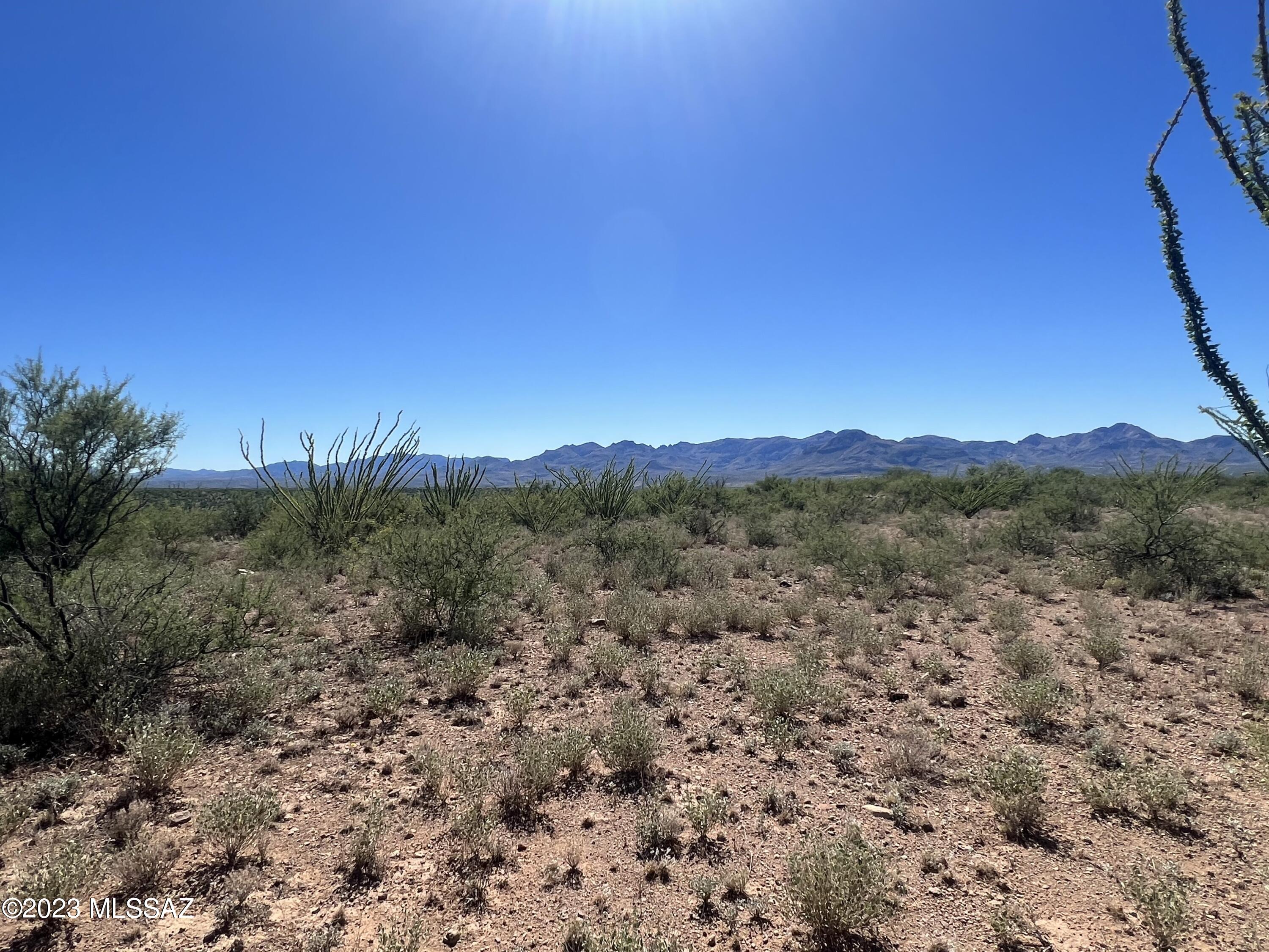 Tbd Camino Nacozari, Unit 71 Rio Rico, AZ 85648 - Photo 11 of 19 Endless Possibilities