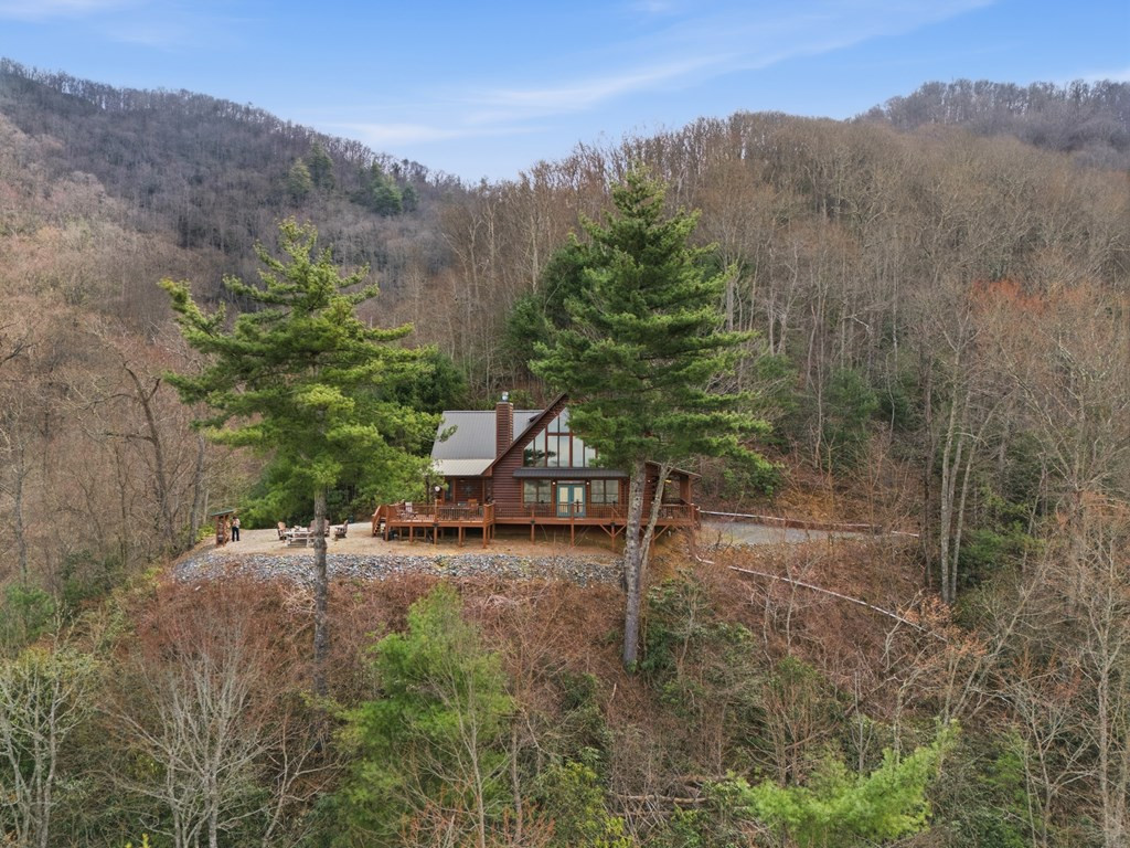 830 Noon Day Sun Ridge Topton, NC 28781 - Photo 9 of 59