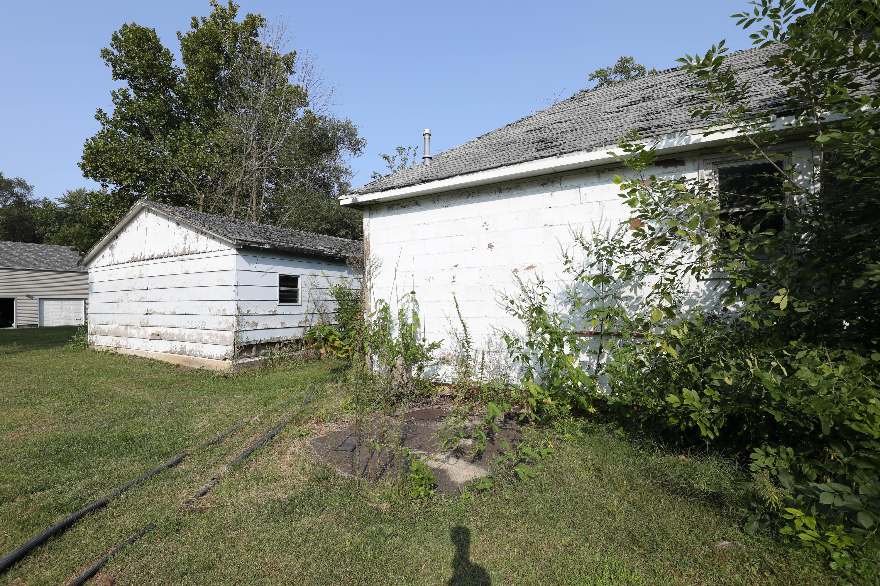 15 East Oneida Street La Crosse, IN 46348 - Photo 16 of 21 a view of a backyard with plants and large tree