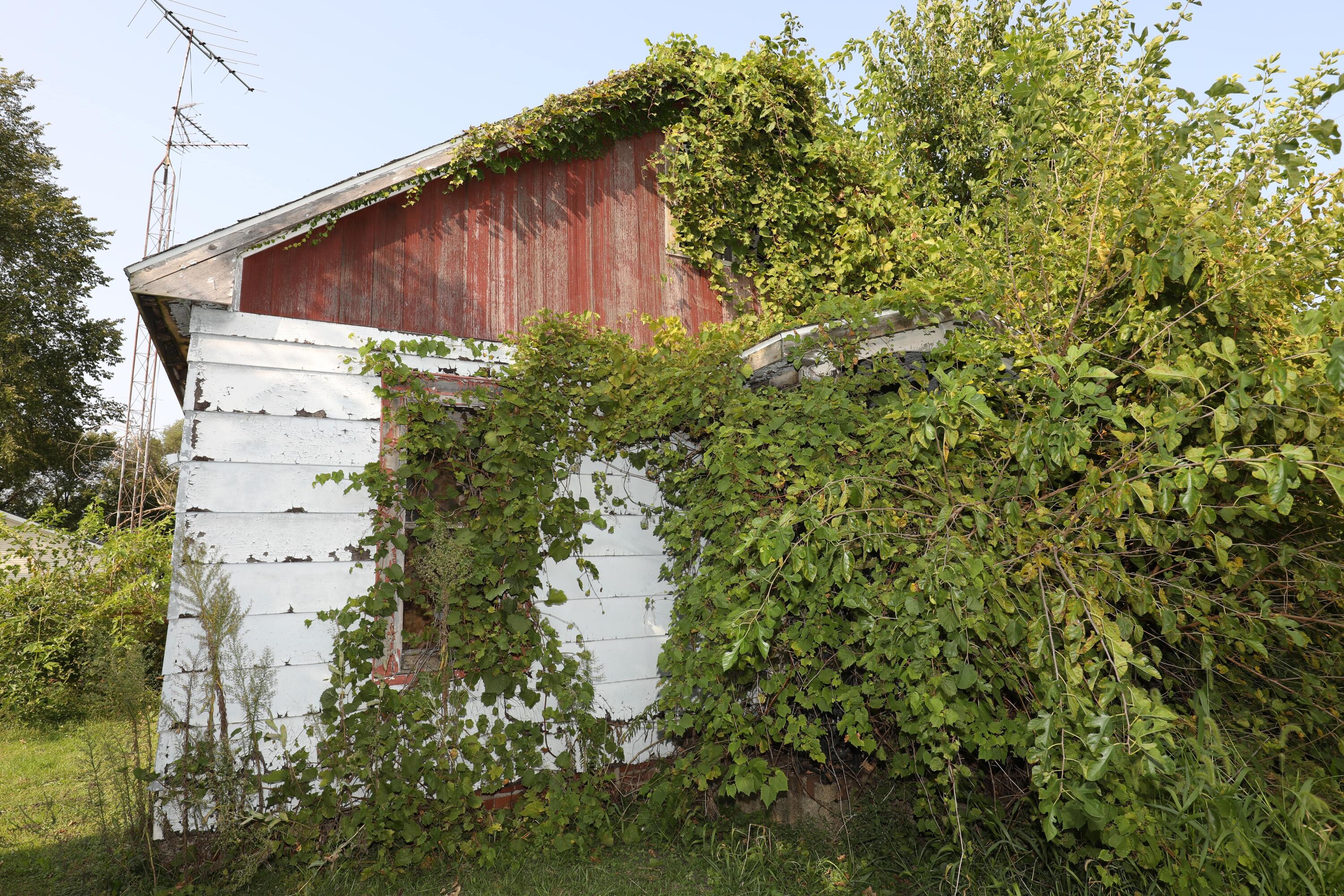 15 East Oneida Street La Crosse, IN 46348 - Photo 2 of 21 a backyard of a house with lots of green space