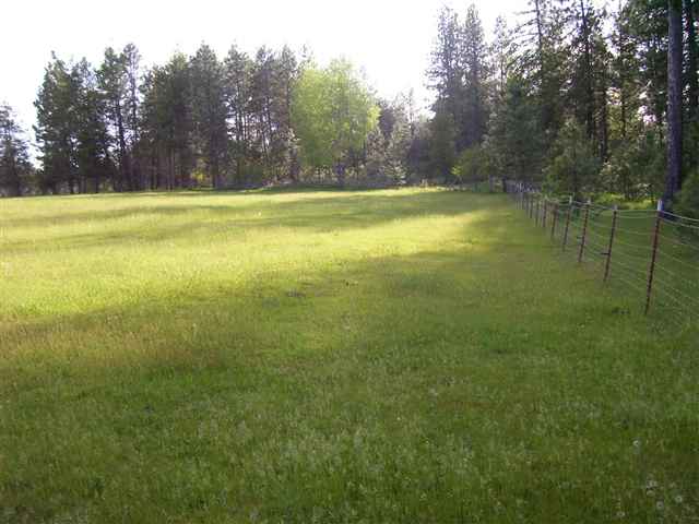 2 East Chattaroy Road Colbert, WA 99005 - Photo 4 of 9