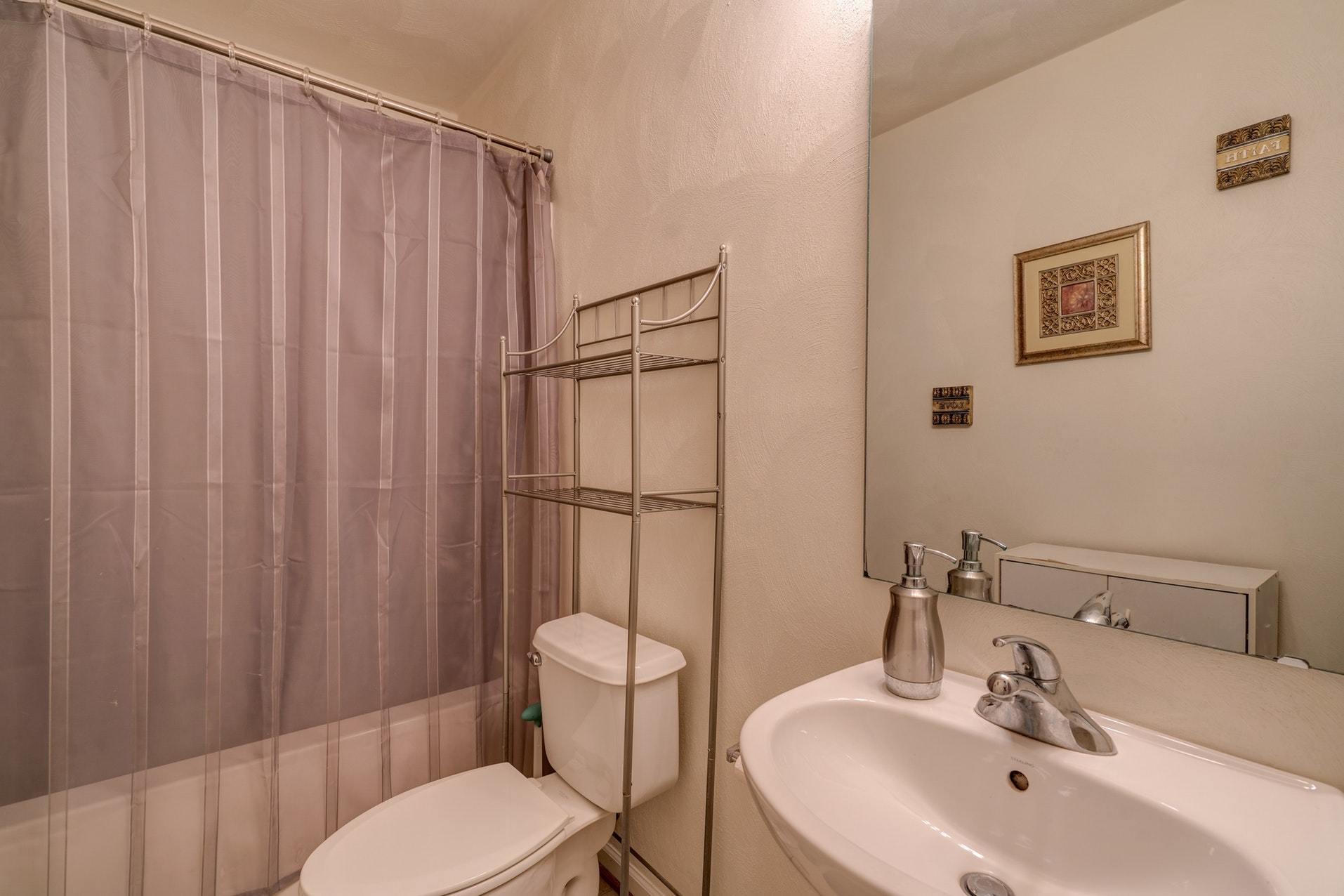 4203 Daugherty Road Salem, VA 24153 - Photo 22 of 35 a bathroom with a sink a toilet and shower curtain