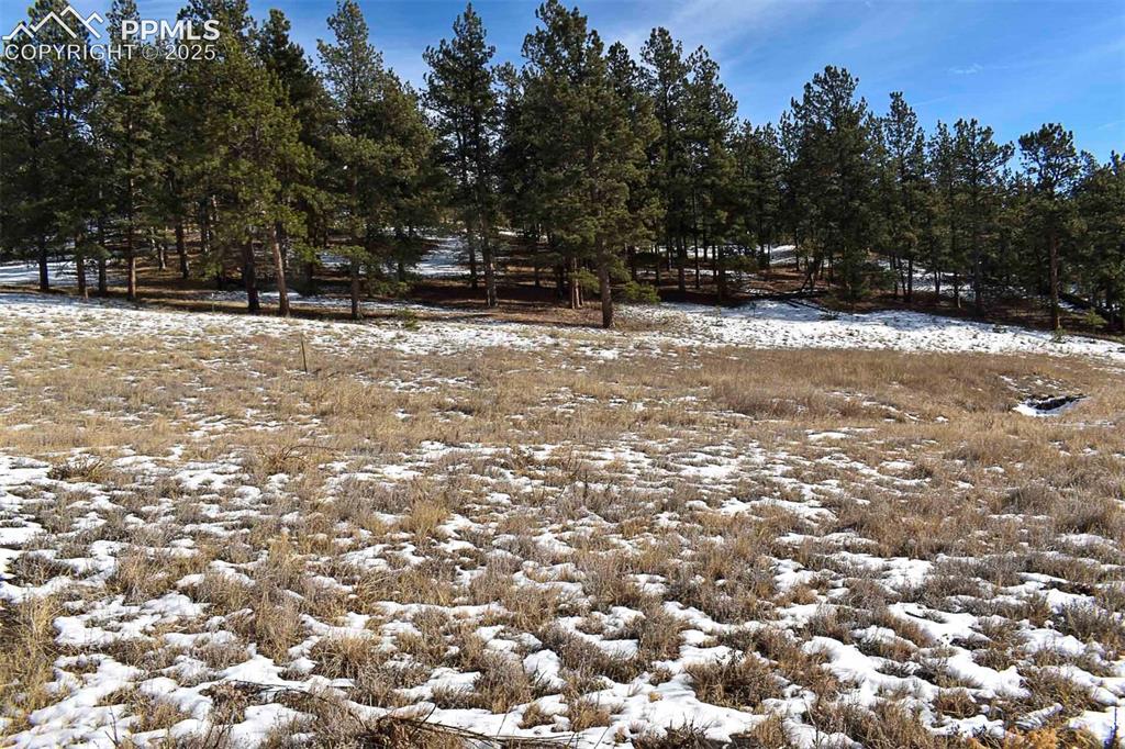 6th Street Guffey, CO 80820 - Photo 2 of 28