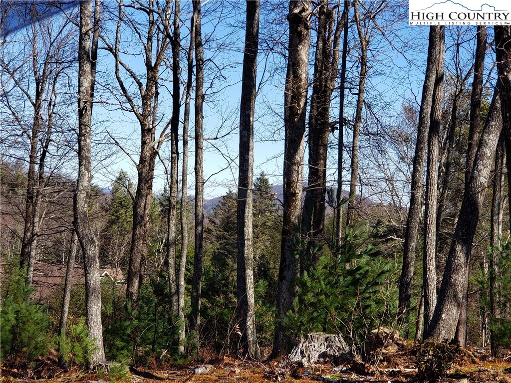 251 Sunset Ridge Drive Boone, NC 28607 - Photo 21 of 40
