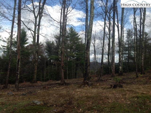 251 Sunset Ridge Drive Boone, NC 28607 - Photo 27 of 40