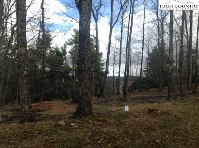 251 Sunset Ridge Drive Boone, NC 28607 - Photo 28 of 40