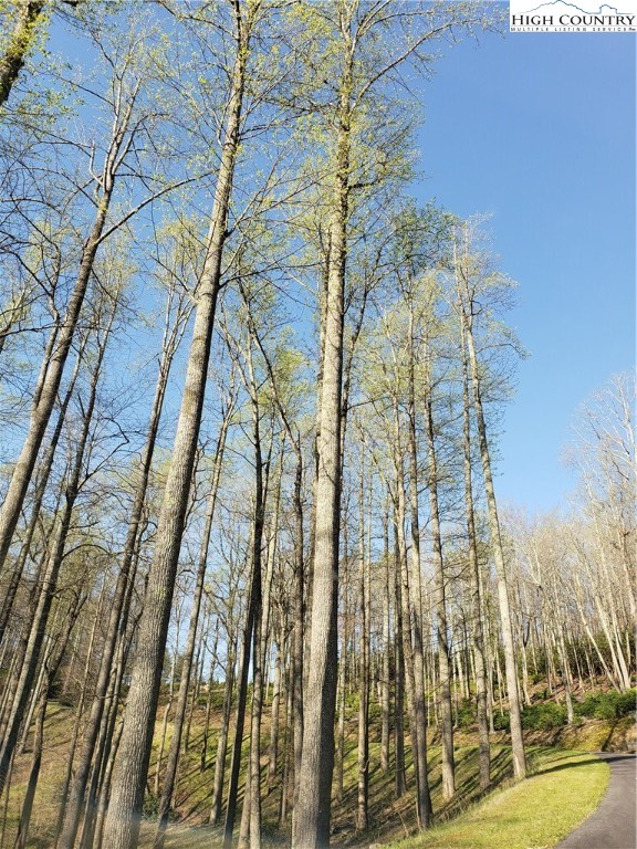 251 Sunset Ridge Drive Boone, NC 28607 - Photo 30 of 40