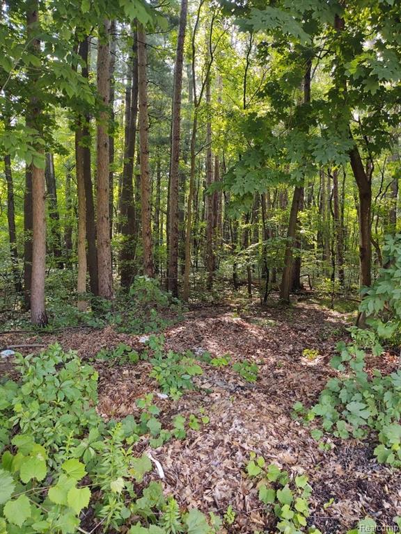 0 Castle Road Otter Lake, MI 48464 - Photo 2 of 7 Gallery Image 2