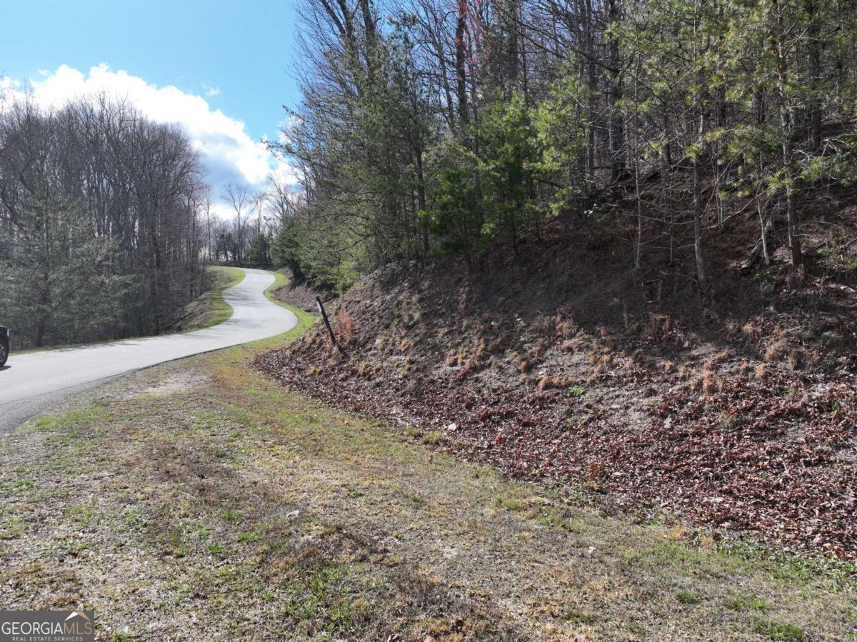 258 Andes Ridge Talking Rock, GA 30175 - Photo 1 of 1 Gallery Image 1