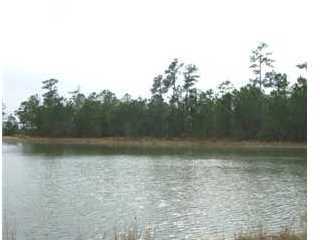 1509 Red Drum Road Mount Pleasant, SC 29466 - Photo 1 of 1 Primary Photo