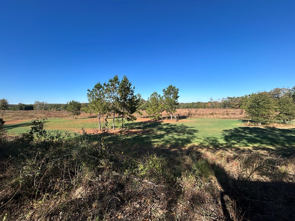 62/ Cty Road Coleman, GA 39836 - Photo 37 of 58
