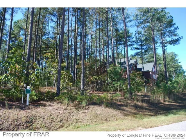a view of outdoor space and garden