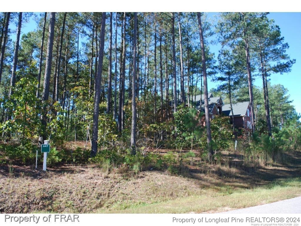 125 Broadlake Lane Spring Lake, NC 28390 - Photo 6 of 11 a view of outdoor space and garden