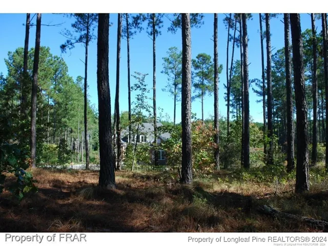 a view of outdoor space and garden