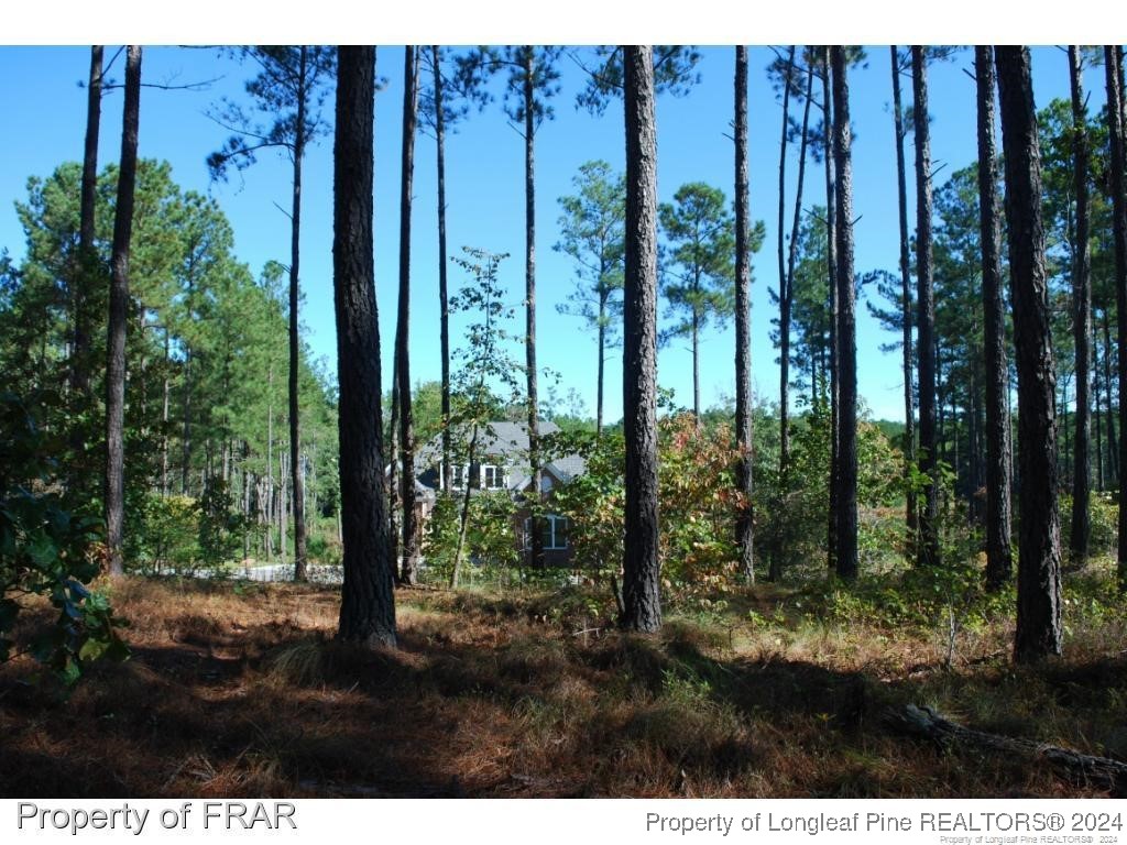 125 Broadlake Lane Spring Lake, NC 28390 - Photo 7 of 11 a view of outdoor space and garden