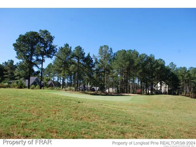 a grassy field with trees in the background