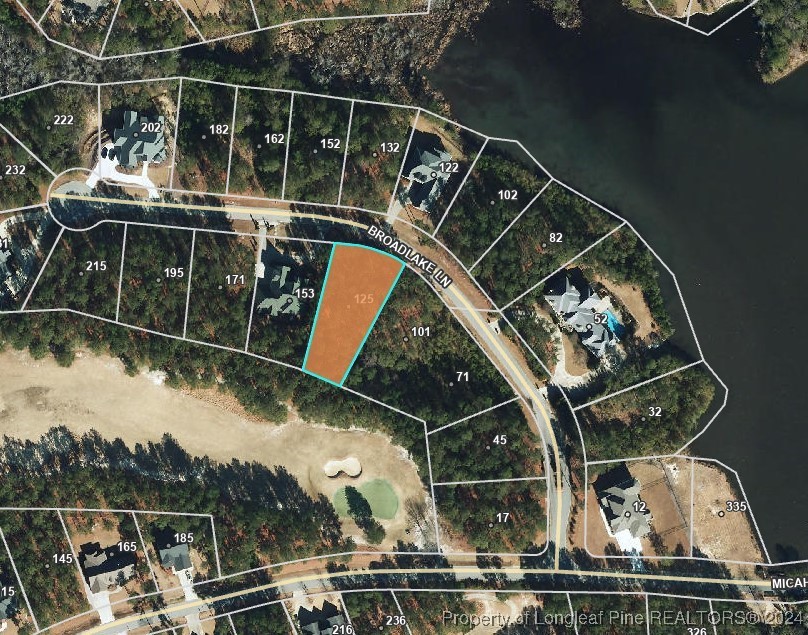 125 Broadlake Lane Spring Lake, NC 28390 - Photo 10 of 11 a view of roof with wooden floor