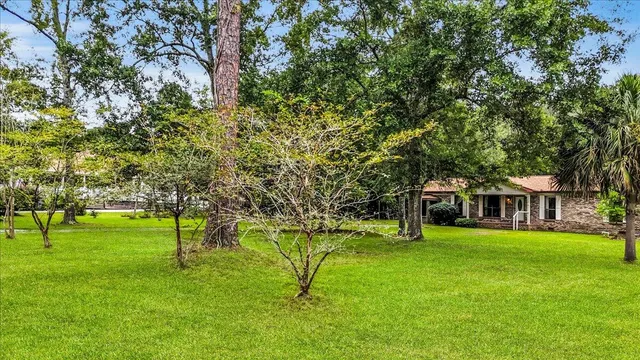 a view of house with a big yard and large trees