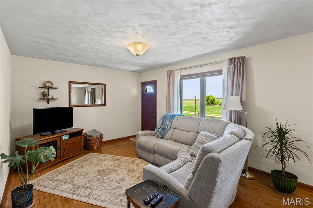 22805 Monke Road Mount Olive, IL 62069 - Photo 7 of 42