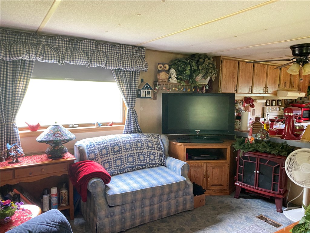 270 Morrell Road Worcester, NY 12197 - Photo 11 of 38